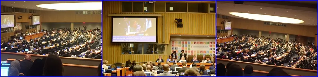 HLPF1 2019 11 7 2562
