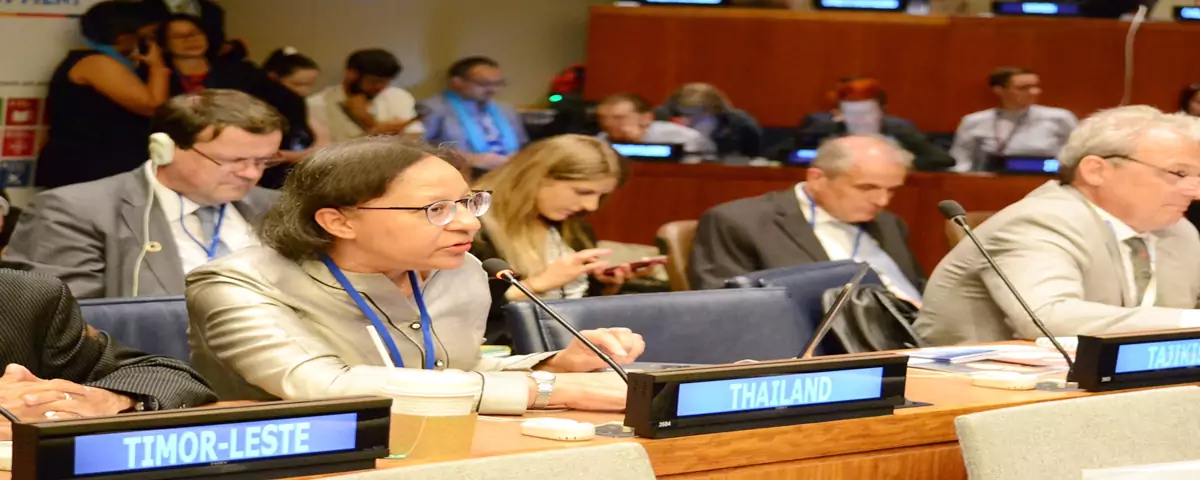 HLPF 2019 11 7 2562
